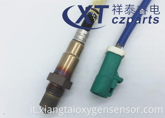 Focus Oxygen Sensor